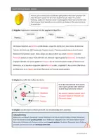 Vorschau - Arbeitsblätter - LADUNGEN / Coulomb Kraft / Elektronen, Protonen - Seite 3