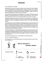 Vorschau - Arbeitsblätter - Auf die Bilder, fertig, los! | Deutsch Grundschule Sekundarstufe I Klasse 2–6 | Freies Schreiben, Bildergeschichten, Wimmelbilder, Differenzierung, Aufsatz, Kreativität, Lösungen - Seite 3