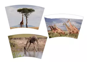 Vorschau - Präsentationen/Tafelbilder - 🦒 Legekreis Giraffe 🦒 - Seite 1