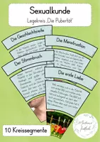 Vorschau - Arbeitsblätter - Materialpaket Sexualkunde - Seite 3