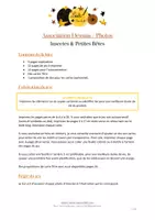 Aperçu - Apprentissages en autonomie - Association Photos / Dessins - Insectes et Petites Bêtes - Page 1