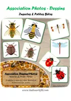 Aperçu - Apprentissages en autonomie - Association Photos / Dessins - Insectes et Petites Bêtes - Page de couverture