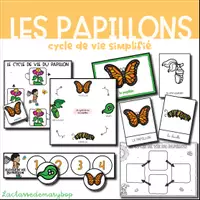 Aperçu - Affichage - Cycle de vie du papillon - Version simplifiée - Page de couverture