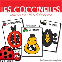 Aperçu - Fiches - Coccinelle Cycle de vie - Pâte à modeler - Page de couverture