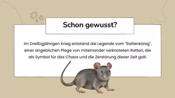 Vorschau - Stundenentwürfe - Materialpaket Reformation inkl. genaue Lektionenplanung - VOLLSTÄNDIG - Seite 2