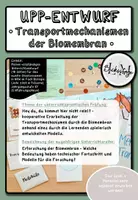 Vorschau - Stundenentwürfe - Unterrichtsentwurf 2. Staatsexamen • Biologie Oberstufe - Deckblatt