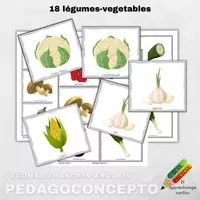 Aperçu - Cartes d'exercices - Légumes français-anglais - Page de couverture