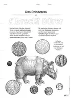 Vorschau - Stundenentwürfe - fertige Kunst-Doppel-Stunde: Dürers Rhino zur Fußball-EM - Seite 3