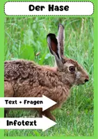 Vorschau - Arbeitsblätter - Hasen: Lebensweise & Ernährung (KOSTENLOS) - Deckblatt