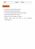 Vorschau - Arbeitsblätter - Hasen: Lebensweise & Ernährung (KOSTENLOS) - Seite 2