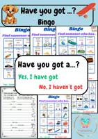 Náhľad - "Have You Got...?" Bingo - obálka
