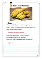 Aperçu - Apprentissages en autonomie - Sami et les fruits - Page de couverture