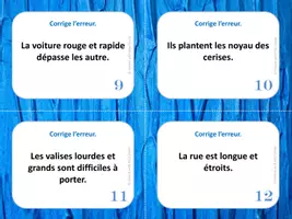 Aperçu - Apprentissages en autonomie - Corrige l'erreur (Accord des adjectifs et noms) 28 CAT - Page 2