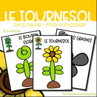 Aperçu - Fiches - Tournesol Cycle de vie - Pâte à modeler - Page de couverture