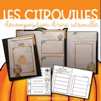 Aperçu - Fiches - La décomposition de la citrouille - Page de couverture