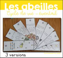 Aperçu - Fiches - Cycle de vie de l´abeille - Livret éventail - Page de couverture