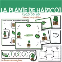 Aperçu - Affichage - Cycle de vie plante haricot - Version simplifiée - Page de couverture