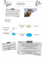Vorschau - Arbeitsblätter - Materialpaket Les 5: Het dagelijks leven - Deckblatt