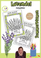 Vorschau - Mal- und Bastelvorlagen - Ausmalbilder Lavendel | Lavandula angustifolia - Deckblatt