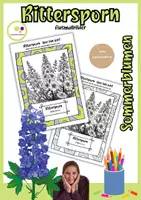 Vorschau - Mal- und Bastelvorlagen - Ausmalbilder Rittersporn | Delphinium - Deckblatt
