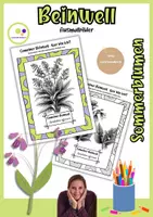 Vorschau - Mal- und Bastelvorlagen - Ausmalbilder Gemeiner Beinwell | Symphytum officinale - Deckblatt