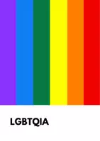 Vorschau - Poster - LGBTQIA+ // DIe Flaggen der Community, Poster für den Klassenraum - Seite 2