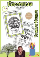 Vorschau - Mal- und Bastelvorlagen - Ausmalbilder Wiesen - Bärenklau | Heracleum sphondylium - Deckblatt
