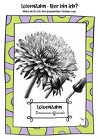 Vorschau - Mal- und Bastelvorlagen - Ausmalbilder Löwenzahn + Pusteblume | Taraxacum officinale - Seite 3