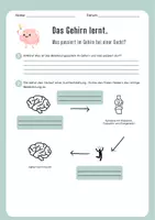 Vorschau - Arbeitsblätter - Das Gehirn lernt - psychologische Aspekte der Sucht - Seite 3