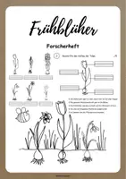 Vorschau - Stundenentwürfe - Materialpaket: alle Sachunterrichtsmaterialien von laminierzauber - Deckblatt