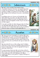 Vorschau - Bildkarten - Affe - Wissenskartei - Tiere - Seite 1