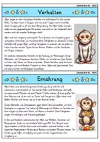 Vorschau - Bildkarten - Affe - Wissenskartei - Tiere - Seite 2