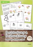 Vorschau - Arbeitsblätter - Bestäubung & Befruchtung: Leporello - Deckblatt