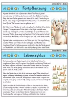 Vorschau - Bildkarten - Alpaka - Wissenskartei - Tiere - Seite 3