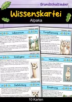 Vorschau - Bildkarten - Alpaka - Wissenskartei - Tiere - Deckblatt