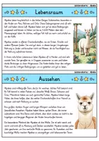 Vorschau - Bildkarten - Alpaka - Wissenskartei - Tiere - Seite 1