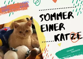 Vorschau - Spiele - Tagebuch einer Katze - Sprechen und Schreiben kreativ üben - Deckblatt