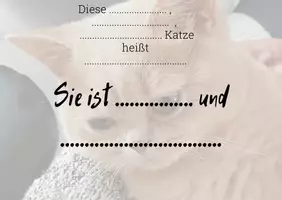 Vorschau - Spiele - Tagebuch einer Katze - Sprechen und Schreiben kreativ üben - Seite 1