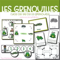 Aperçu - Affichage - Cycle de vie de la grenouille - Version simplifiée - Page de couverture