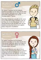 Vorschau - Arbeitsblätter - Geschlechtsidentität | Lesekartei und Arbeitsblätter | Intersexualität - Seite 2