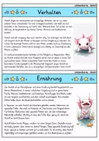 Vorschau - Bildkarten - Axolotl - Wissenskartei - Tiere - Seite 2