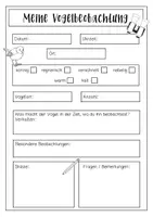 Vorschau - Arbeitsblätter - Beobachtungsbogen heimische Vögel - Seite 3
