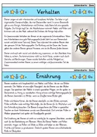 Vorschau - Bildkarten - Biene - Wissenskartei - Tiere - Seite 2