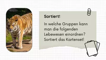 Vorschau - Stundenentwürfe - PPT & Stundenentwurf - Doppellektion Art, Kladogramm & Wirbeltiere inkl. Legespiel - Seite 1