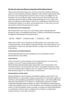 Vorschau - Arbeitsblätter - Wie lässt sich zeigen, dass Pflanzen energiereiche Stoffe aufbauen können? - Seite 1