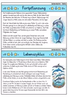 Vorschau - Bildkarten - Delfin - Wissenskartei - Tiere - Seite 3