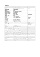 Vorschau - Arbeitsblätter - The Absolutely True Diary of a Part Time Indian chapter 24-26 tasks + vocabulary list - Seite 1