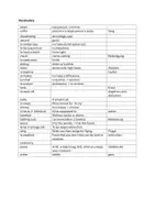 Vorschau - Arbeitsblätter - The Absolutely True Diary of a Part Time Indian chapter 24-26 tasks + vocabulary list - Seite 3