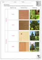 Vorschau - Arbeitsblätter - Werkstoffkunde - Holz - Seite 3