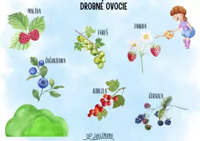 Náhľad - V záhrade, Záhrada, drobné ovocie - ZÁHRADKÁRSTVO - strana 2